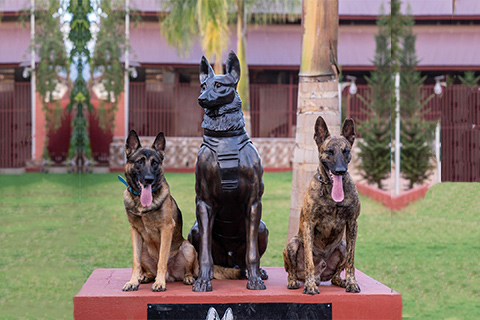 bronze dog statue supplier