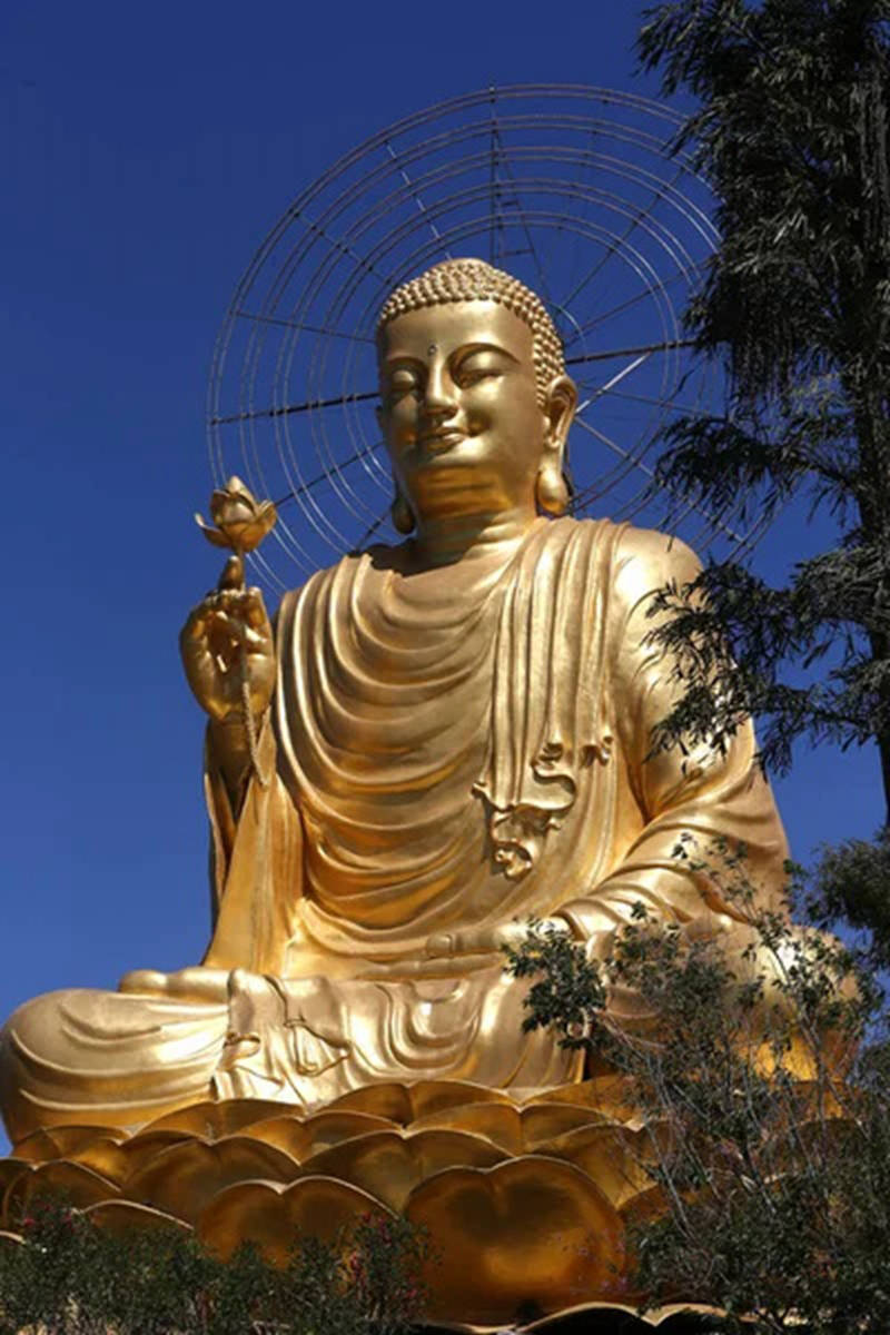 bronze buddha statue for sale-YouFine Sculpture
