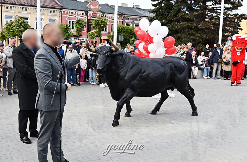 bronze bull statue feedback from poland