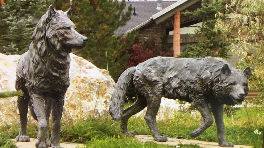 BRONZE GREY WOLF STATUE