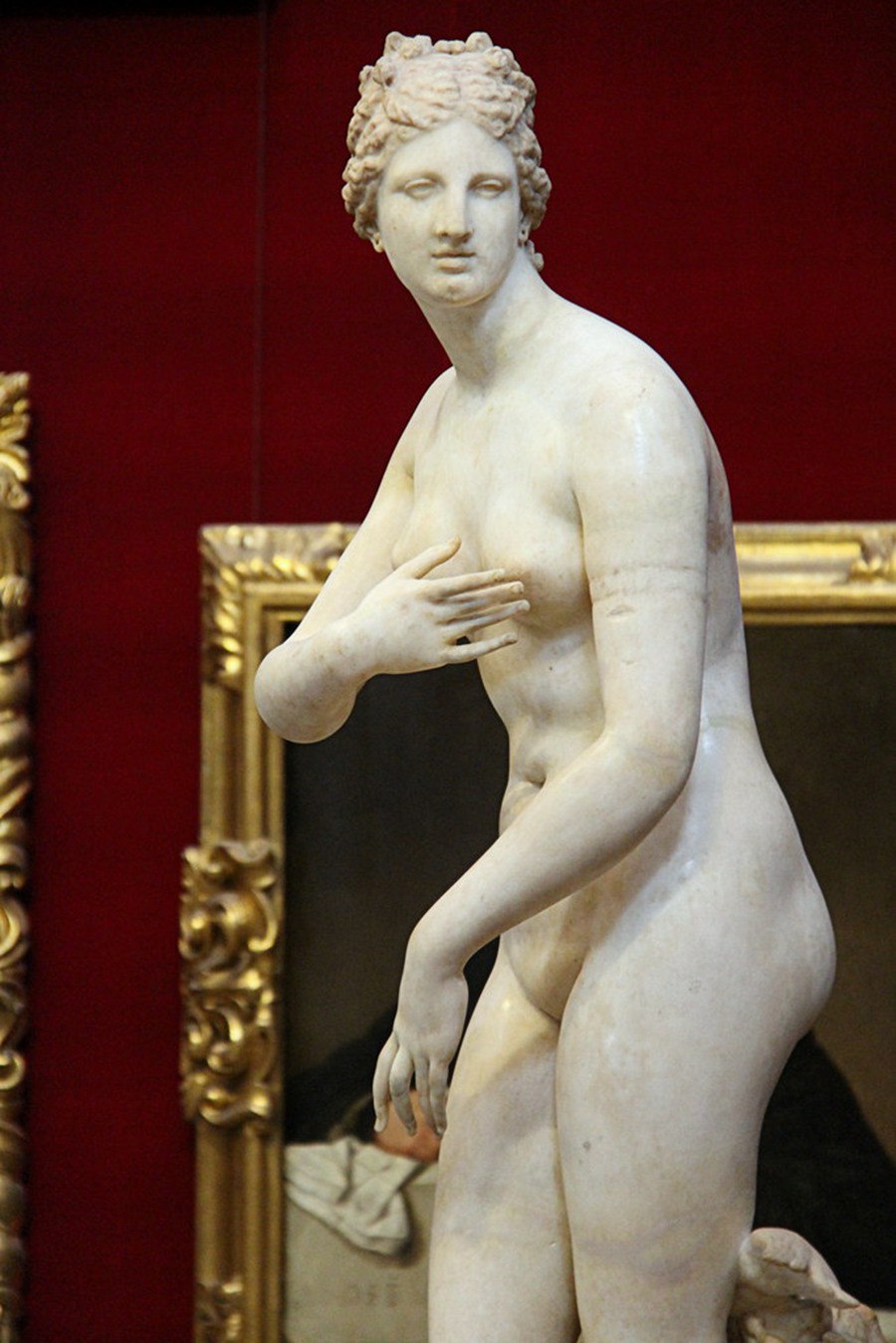 Venere de' Medici statue (4)
