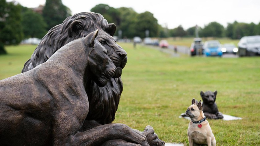 bronze group lions statue (1)