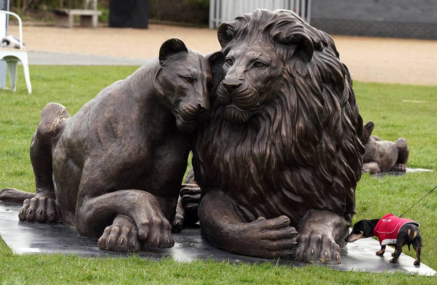 bronze group lions statue (7)