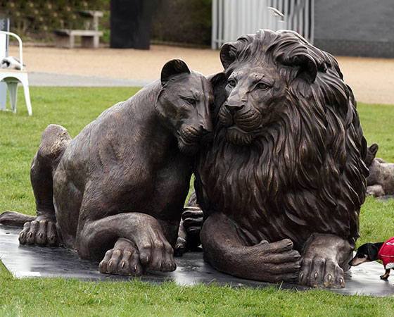 bronze lion statues (2)