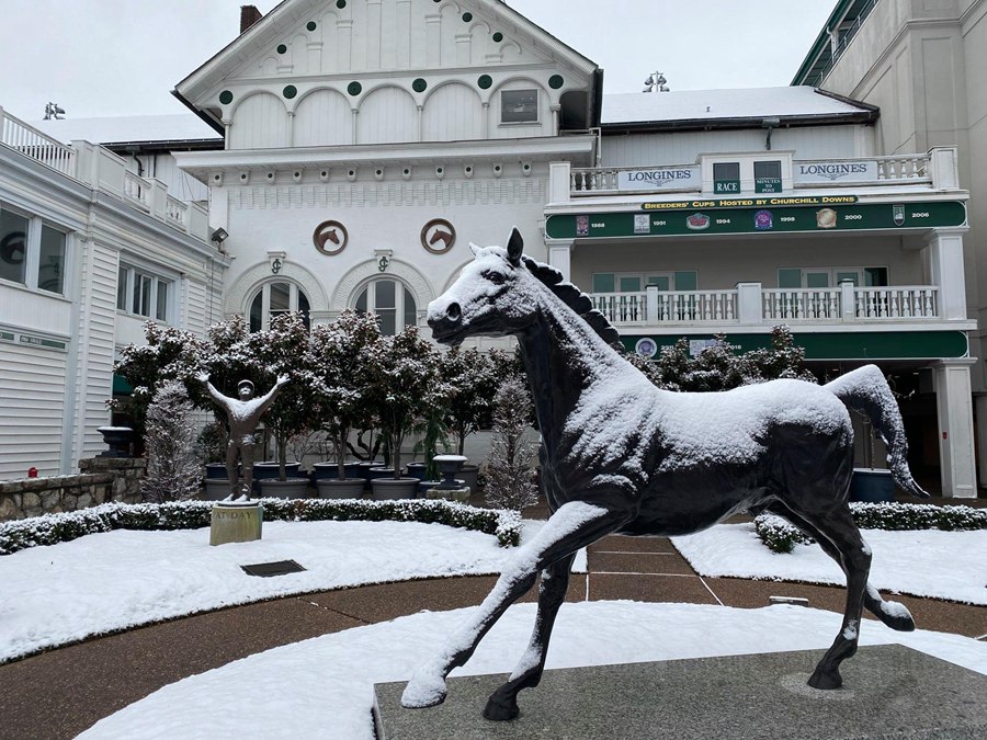 life size bronze horse (2)