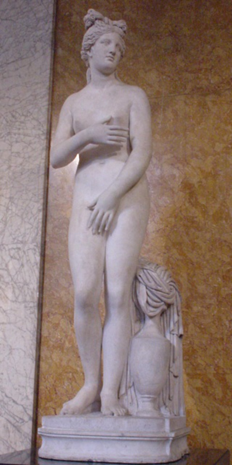 statue of the capitoline venus (9)