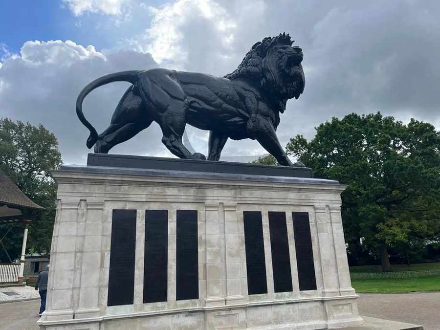 bronze lion statue (5)