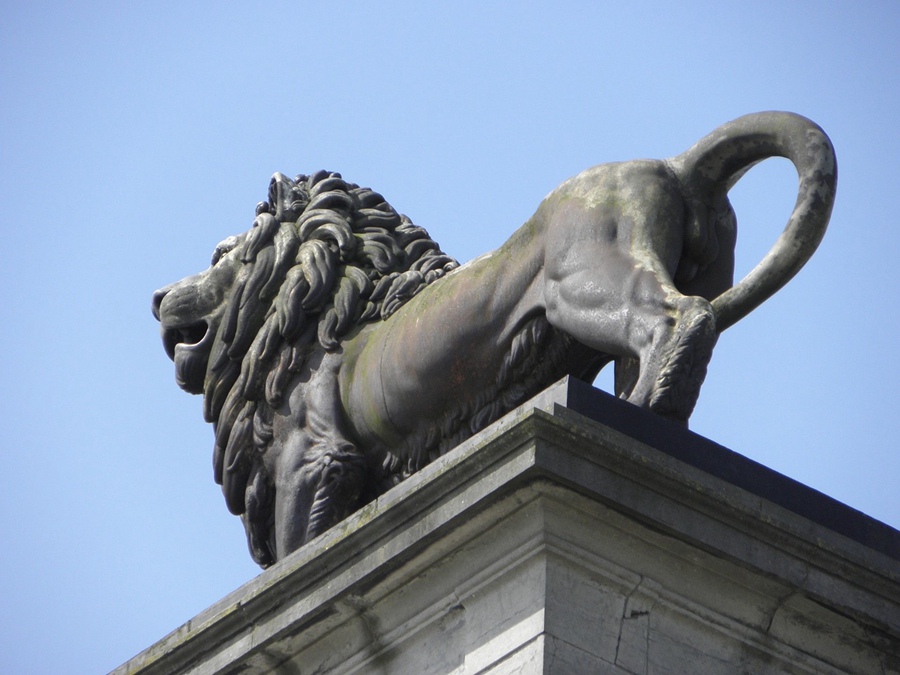bronze lion statue (6)