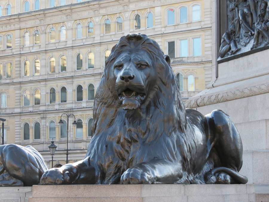 bronze lion statue for sale (1)