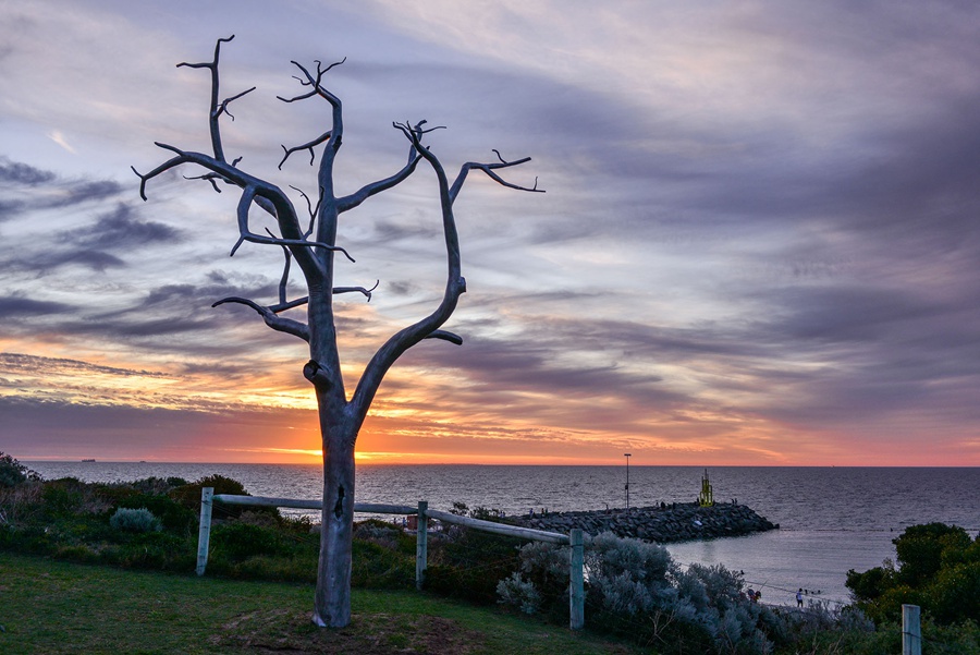 large tree sculpture (5)