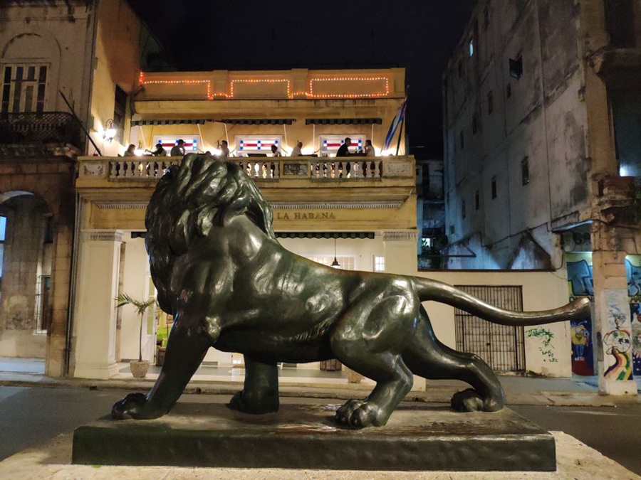 life size bronze lion statue (1)