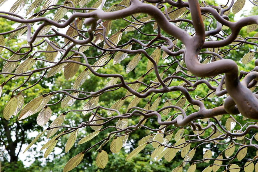 stainless steel tree sculpture (4)