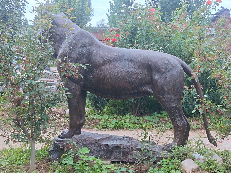 life size bronze lion sculpture (1)