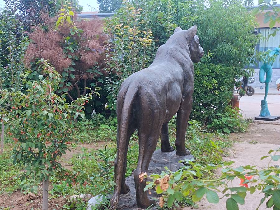 life size bronze lion sculpture (2)