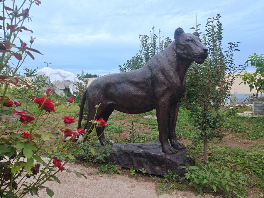 life size bronze lion sculpture (4)