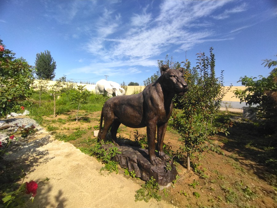 life size bronze lion sculpture (5)