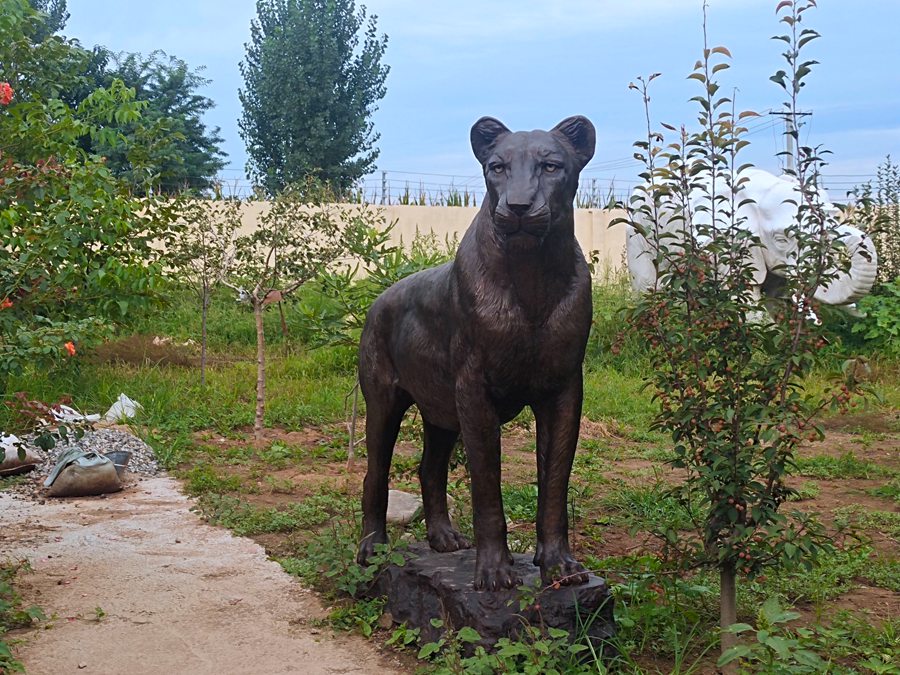 life size bronze lion sculpture (6)