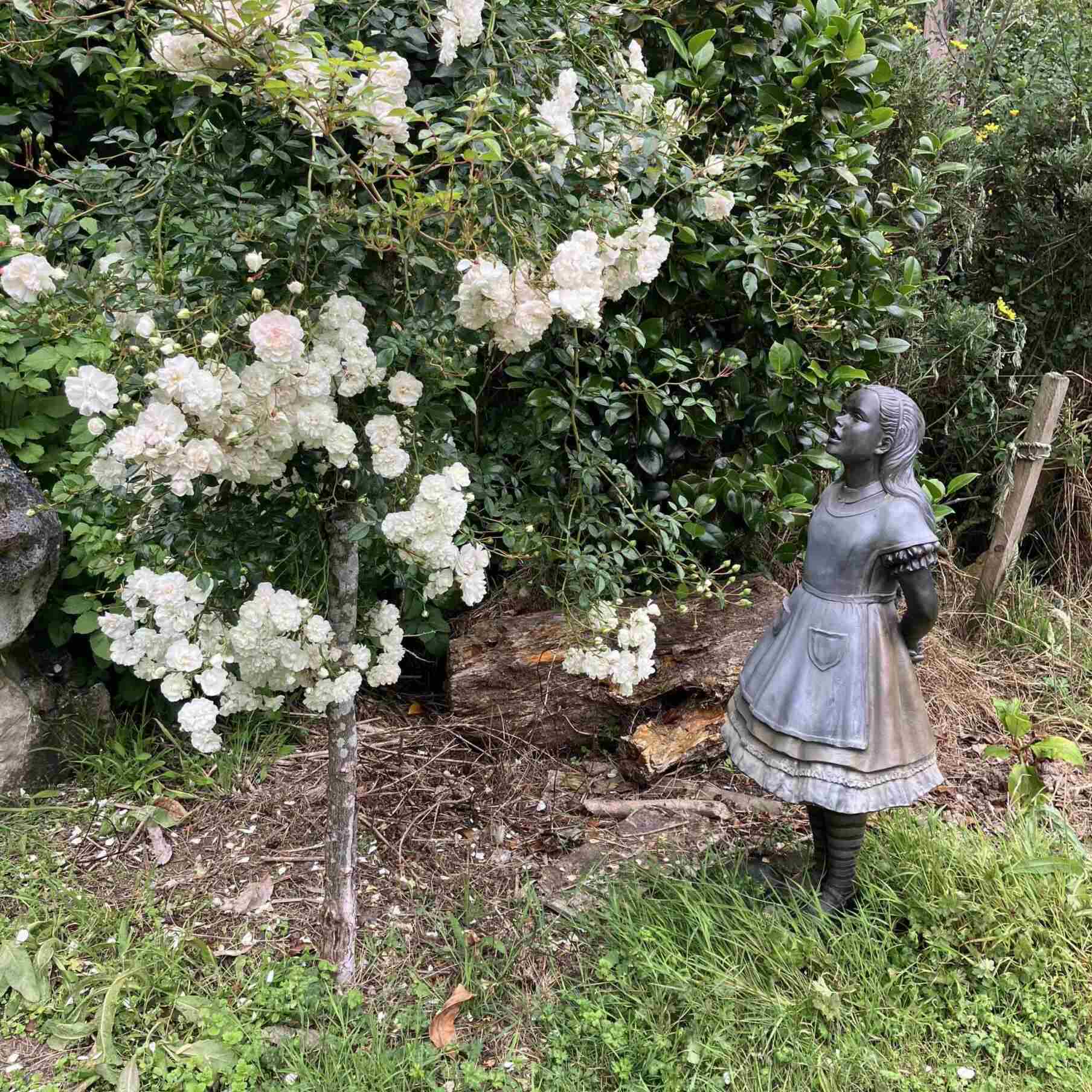 Alice in wonderland garden statue feedback from New Zealand