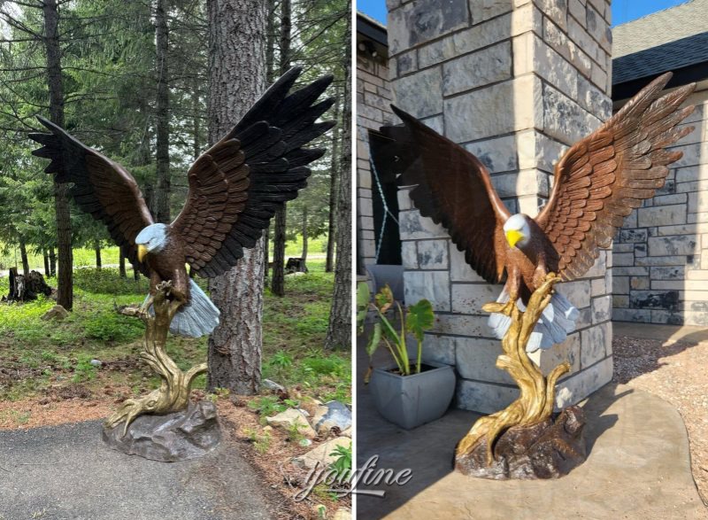 Large Bronze Outdoor Bald Eagle Statue Feedback