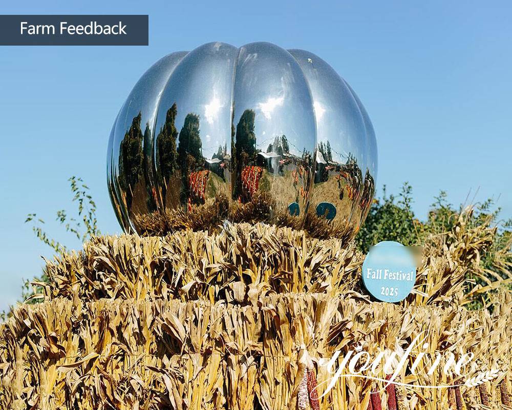 pumpkin farm feedback