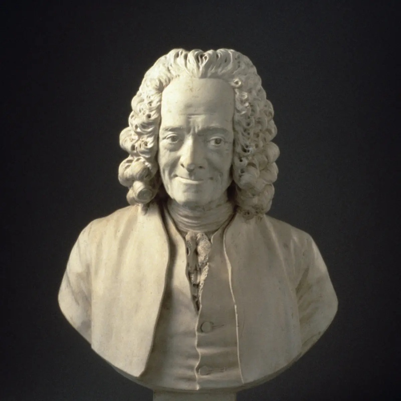 Voltaire Bust