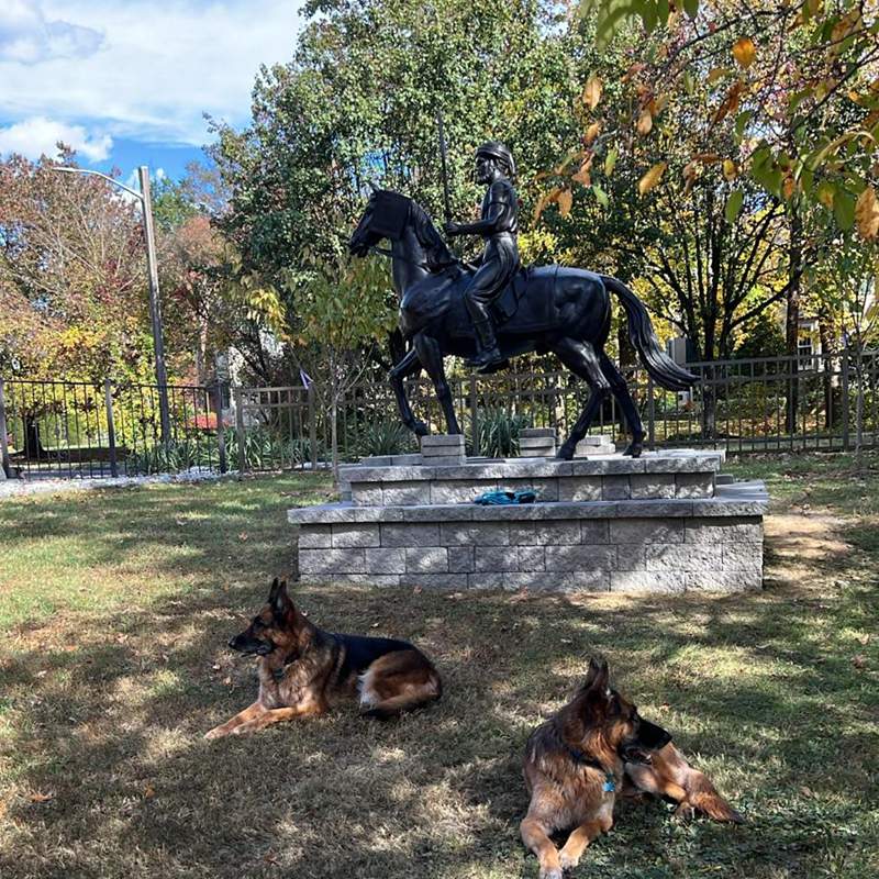 Feedback on an American Bronze Equestrian Statue