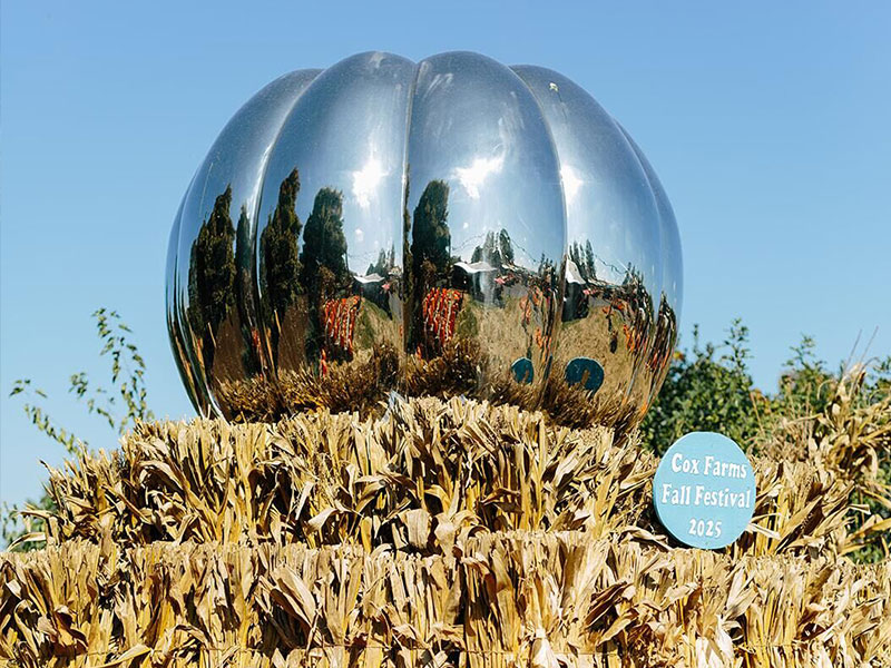 Stainless-steel-pumpkin-sculpture