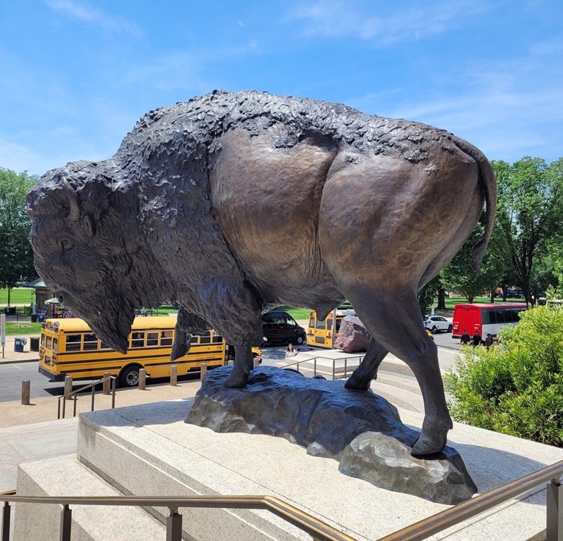 bronze life size bison statue for outdoor