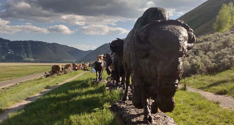 life size bison statue for outdoor