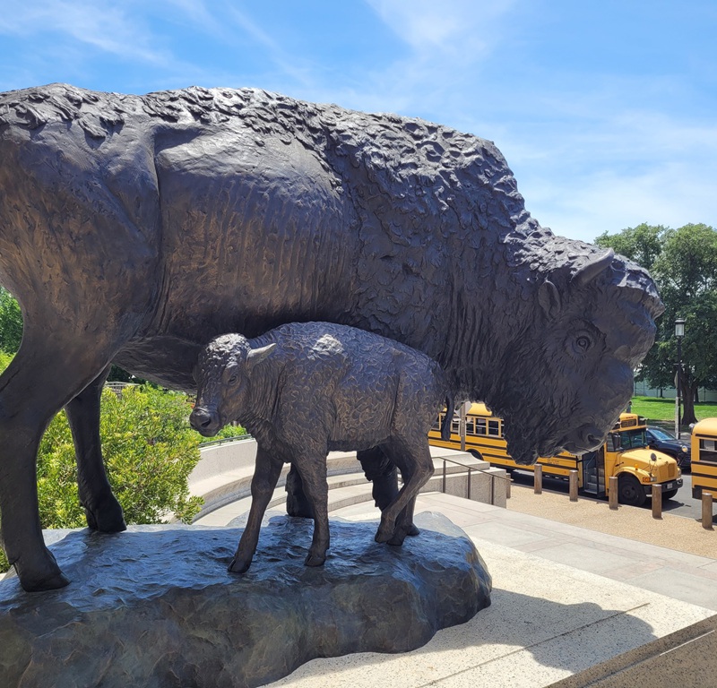 life size bison statue with baby