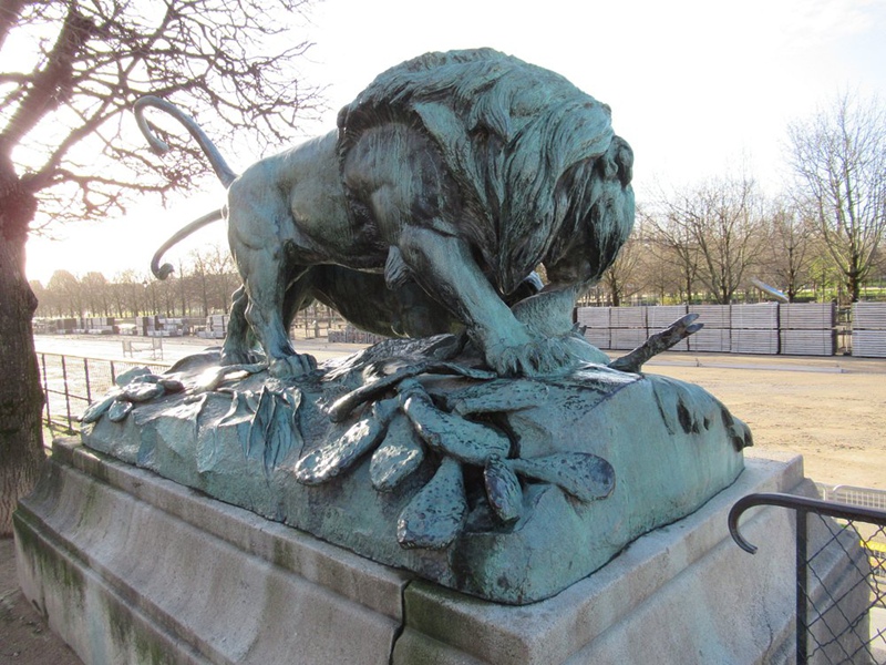 lion and lioness fighting over a boar for park