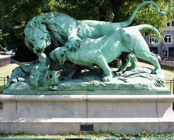 lion and lioness fighting over a boar