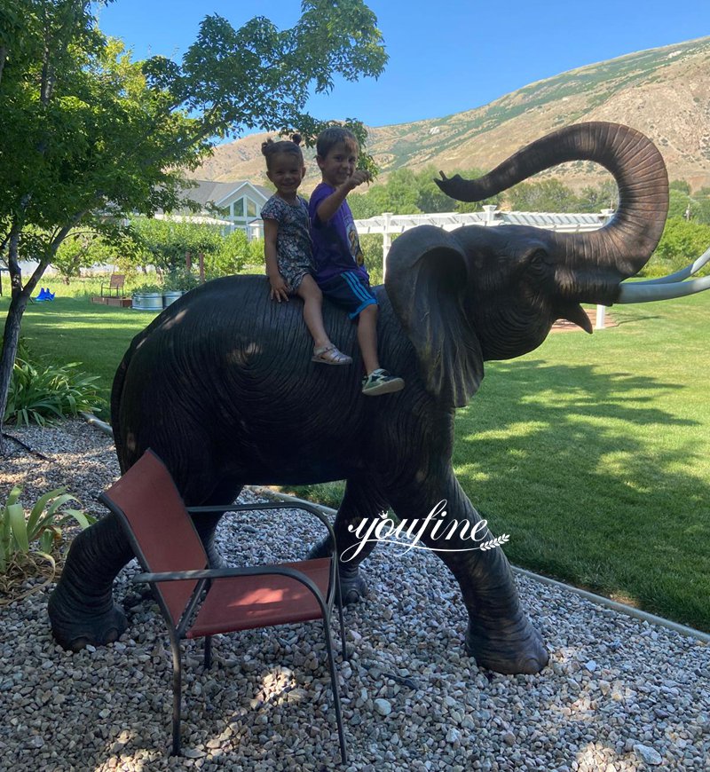 Feedback from a U.S. client regarding a bronze elephant sculpture